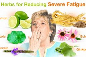 Natural Herbal Remedies for Menopause Fatigue Relief The Ultimate Herbal Remedies Guide: Natural Healing for a Healthier Life Natural Herbal Remedies for Menopause Fatigue Relief | The Ultimate Herbal Remedies Guide: Natural Healing for a Healthier Life