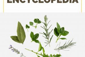 Learn Herbalism: Natural Remedies & Benefits The Ultimate Herbal Remedies Guide: Natural Healing for a Healthier Life Learn Herbalism: Natural Remedies & Benefits | The Ultimate Herbal Remedies Guide: Natural Healing for a Healthier Life