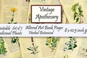 Exploring Herbal Botany: The Science of Plant Medicine The Ultimate Herbal Remedies Guide: Natural Healing for a Healthier Life Exploring Herbal Botany: The Science of Plant Medicine | The Ultimate Herbal Remedies Guide: Natural Healing for a Healthier Life