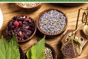 Natural Herbal Cold Remedy Supplements: Soothe Your Symptoms! The Ultimate Herbal Remedies Guide: Natural Healing for a Healthier Life Natural Herbal Cold Remedy Supplements: Soothe Your Symptoms! | The Ultimate Herbal Remedies Guide: Natural Healing for a Healthier Life