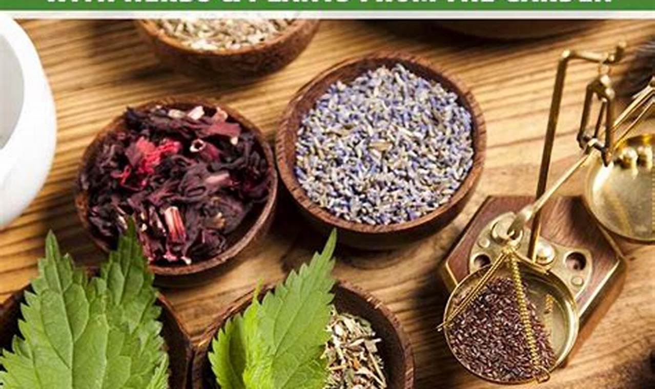 Natural Herbal Cold Remedy Supplements: Soothe Your Symptoms! The Ultimate Herbal Remedies Guide: Natural Healing for a Healthier Life Natural Herbal Cold Remedy Supplements: Soothe Your Symptoms! | The Ultimate Herbal Remedies Guide: Natural Healing for a Healthier Life