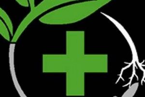 Discover Today's Herbal Choice Barbur: Your Herbal Guide The Ultimate Herbal Remedies Guide: Natural Healing for a Healthier Life Discover Today's Herbal Choice Barbur: Your Herbal Guide | The Ultimate Herbal Remedies Guide: Natural Healing for a Healthier Life