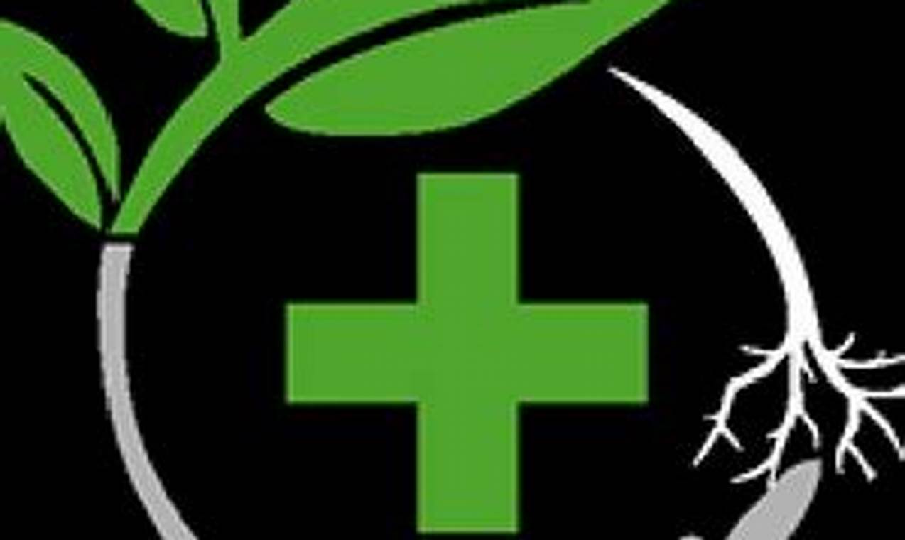 Discover Today's Herbal Choice Barbur: Your Herbal Guide The Ultimate Herbal Remedies Guide: Natural Healing for a Healthier Life Discover Today's Herbal Choice Barbur: Your Herbal Guide | The Ultimate Herbal Remedies Guide: Natural Healing for a Healthier Life