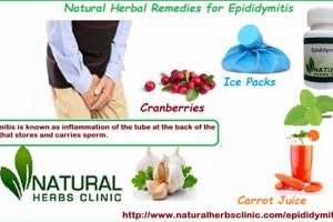 Natural Epididymitis Herbal Treatment: Relief + Recovery The Ultimate Herbal Remedies Guide: Natural Healing for a Healthier Life Natural Epididymitis Herbal Treatment: Relief + Recovery | The Ultimate Herbal Remedies Guide: Natural Healing for a Healthier Life