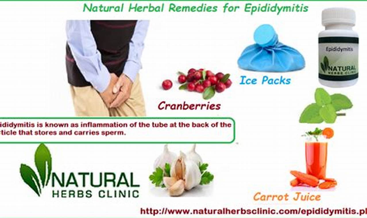 Natural Epididymitis Herbal Treatment: Relief + Recovery The Ultimate Herbal Remedies Guide: Natural Healing for a Healthier Life Natural Epididymitis Herbal Treatment: Relief + Recovery | The Ultimate Herbal Remedies Guide: Natural Healing for a Healthier Life