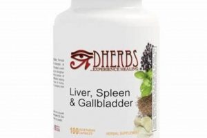 Natural Herbal Remedies for Spleen Health Today The Ultimate Herbal Remedies Guide: Natural Healing for a Healthier Life Natural Herbal Remedies for Spleen Health Today | The Ultimate Herbal Remedies Guide: Natural Healing for a Healthier Life