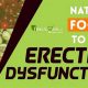 Natural Herbals: Herbal Cure for ED? What You Need to Know | The Ultimate Herbal Remedies Guide: Natural Healing for a Healthier Life