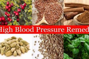 Natural Ways: Best Herbal Treatment for High Blood Pressure Guide The Ultimate Herbal Remedies Guide: Natural Healing for a Healthier Life Natural Ways: Best Herbal Treatment for High Blood Pressure Guide | The Ultimate Herbal Remedies Guide: Natural Healing for a Healthier Life