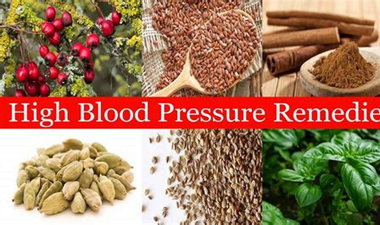 Natural Ways: Best Herbal Treatment for High Blood Pressure Guide The Ultimate Herbal Remedies Guide: Natural Healing for a Healthier Life Natural Ways: Best Herbal Treatment for High Blood Pressure Guide | The Ultimate Herbal Remedies Guide: Natural Healing for a Healthier Life