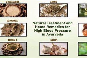 Natural High Blood Pressure Home Remedy Herbal Relief The Ultimate Herbal Remedies Guide: Natural Healing for a Healthier Life Natural High Blood Pressure Home Remedy Herbal Relief | The Ultimate Herbal Remedies Guide: Natural Healing for a Healthier Life