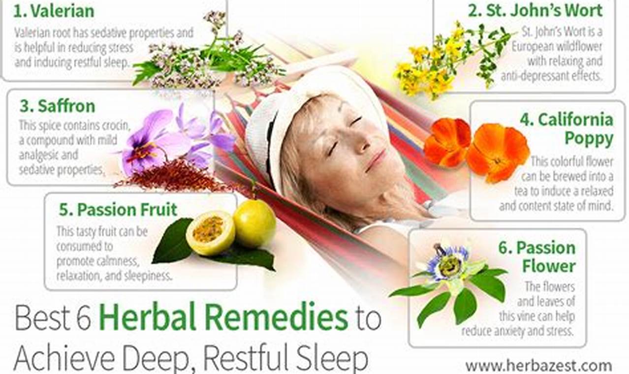 Top Natural Picks: Best Herbal Remedy for Sleeplessness Tonight The Ultimate Herbal Remedies Guide: Natural Healing for a Healthier Life Top Natural Picks: Best Herbal Remedy for Sleeplessness Tonight | The Ultimate Herbal Remedies Guide: Natural Healing for a Healthier Life