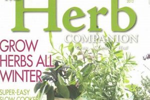 Best Herbal Magazines: Your Botanical Guide The Ultimate Herbal Remedies Guide: Natural Healing for a Healthier Life Best Herbal Magazines: Your Botanical Guide | The Ultimate Herbal Remedies Guide: Natural Healing for a Healthier Life