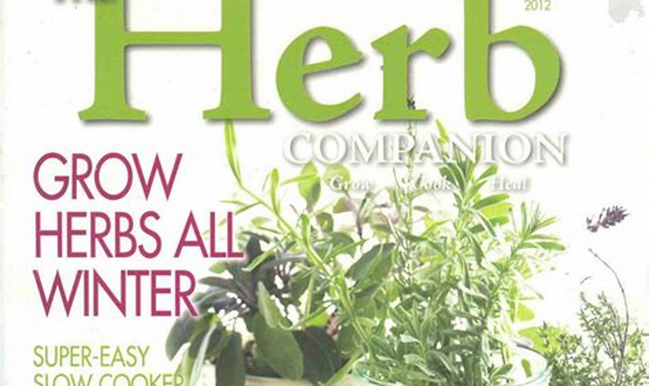 Best Herbal Magazines: Your Botanical Guide The Ultimate Herbal Remedies Guide: Natural Healing for a Healthier Life Best Herbal Magazines: Your Botanical Guide | The Ultimate Herbal Remedies Guide: Natural Healing for a Healthier Life