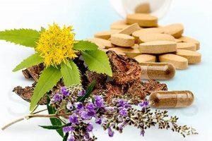 Boost Progesterone Naturally: Herbal Supplements That Work The Ultimate Herbal Remedies Guide: Natural Healing for a Healthier Life Boost Progesterone Naturally: Herbal Supplements That Work | The Ultimate Herbal Remedies Guide: Natural Healing for a Healthier Life