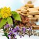 Boost Progesterone Naturally: Herbal Supplements That Work | The Ultimate Herbal Remedies Guide: Natural Healing for a Healthier Life