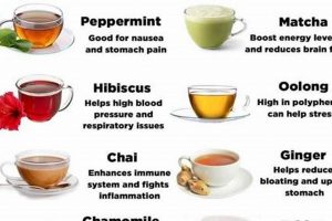 Tea Time: How Many Cups of Herbal Tea a Day is Safe? The Ultimate Herbal Remedies Guide: Natural Healing for a Healthier Life Tea Time: How Many Cups of Herbal Tea a Day is Safe? | The Ultimate Herbal Remedies Guide: Natural Healing for a Healthier Life
