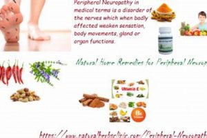 Natural Relief: Peripheral Neuropathy Herbal Remedies That Work The Ultimate Herbal Remedies Guide: Natural Healing for a Healthier Life Natural Relief: Peripheral Neuropathy Herbal Remedies That Work | The Ultimate Herbal Remedies Guide: Natural Healing for a Healthier Life
