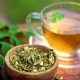 Boost Your Health: Moringa Herbal Tea Benefits Today! | The Ultimate Herbal Remedies Guide: Natural Healing for a Healthier Life