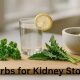 Natural Herbal Remedies for Kidney Stones: Relief Now | The Ultimate Herbal Remedies Guide: Natural Healing for a Healthier Life