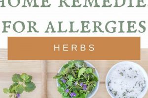 Best Herbal Allergy Supplements: Find Relief Naturally The Ultimate Herbal Remedies Guide: Natural Healing for a Healthier Life Best Herbal Allergy Supplements: Find Relief Naturally | The Ultimate Herbal Remedies Guide: Natural Healing for a Healthier Life