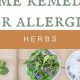 Best Herbal Allergy Supplements: Find Relief Naturally | The Ultimate Herbal Remedies Guide: Natural Healing for a Healthier Life