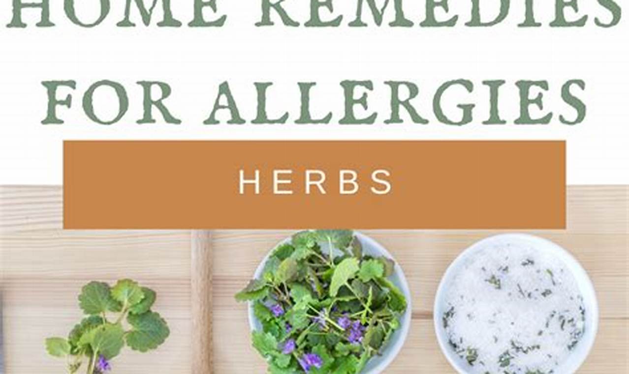 Best Herbal Allergy Supplements: Find Relief Naturally The Ultimate Herbal Remedies Guide: Natural Healing for a Healthier Life Best Herbal Allergy Supplements: Find Relief Naturally | The Ultimate Herbal Remedies Guide: Natural Healing for a Healthier Life