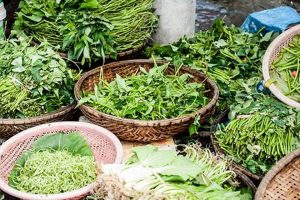 Unlock Your Herbalism Degree: Path to Natural Healing The Ultimate Herbal Remedies Guide: Natural Healing for a Healthier Life Unlock Your Herbalism Degree: Path to Natural Healing | The Ultimate Herbal Remedies Guide: Natural Healing for a Healthier Life