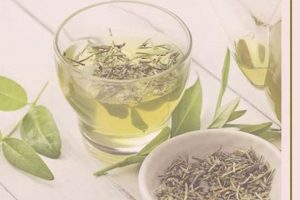 Natural Sleep? Does Herbal Tea Make You Sleepy? Tips! The Ultimate Herbal Remedies Guide: Natural Healing for a Healthier Life Natural Sleep? Does Herbal Tea Make You Sleepy? Tips! | The Ultimate Herbal Remedies Guide: Natural Healing for a Healthier Life