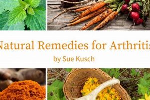 Natural Herbal Medicine for Arthritis Relief Guide | The Ultimate Herbal Remedies Guide: Natural Healing for a Healthier Life