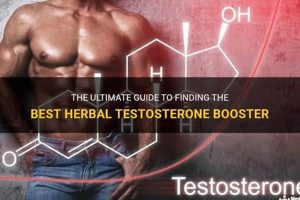 Boost Your Levels: Herbal Testosterone Options Explored The Ultimate Herbal Remedies Guide: Natural Healing for a Healthier Life Boost Your Levels: Herbal Testosterone Options Explored | The Ultimate Herbal Remedies Guide: Natural Healing for a Healthier Life