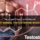 Boost Your Levels: Herbal Testosterone Options Explored | The Ultimate Herbal Remedies Guide: Natural Healing for a Healthier Life