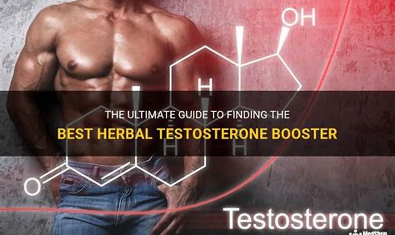 Boost Your Levels: Herbal Testosterone Options Explored | The Ultimate Herbal Remedies Guide: Natural Healing for a Healthier Life