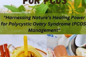Natural Herbal Remedies for Polycystic Ovary Syndrome Relief The Ultimate Herbal Remedies Guide: Natural Healing for a Healthier Life Natural Herbal Remedies for Polycystic Ovary Syndrome Relief | The Ultimate Herbal Remedies Guide: Natural Healing for a Healthier Life
