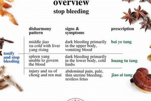 Natural Herbal Remedies to Stop Bleeding Fast The Ultimate Herbal Remedies Guide: Natural Healing for a Healthier Life Natural Herbal Remedies to Stop Bleeding Fast | The Ultimate Herbal Remedies Guide: Natural Healing for a Healthier Life