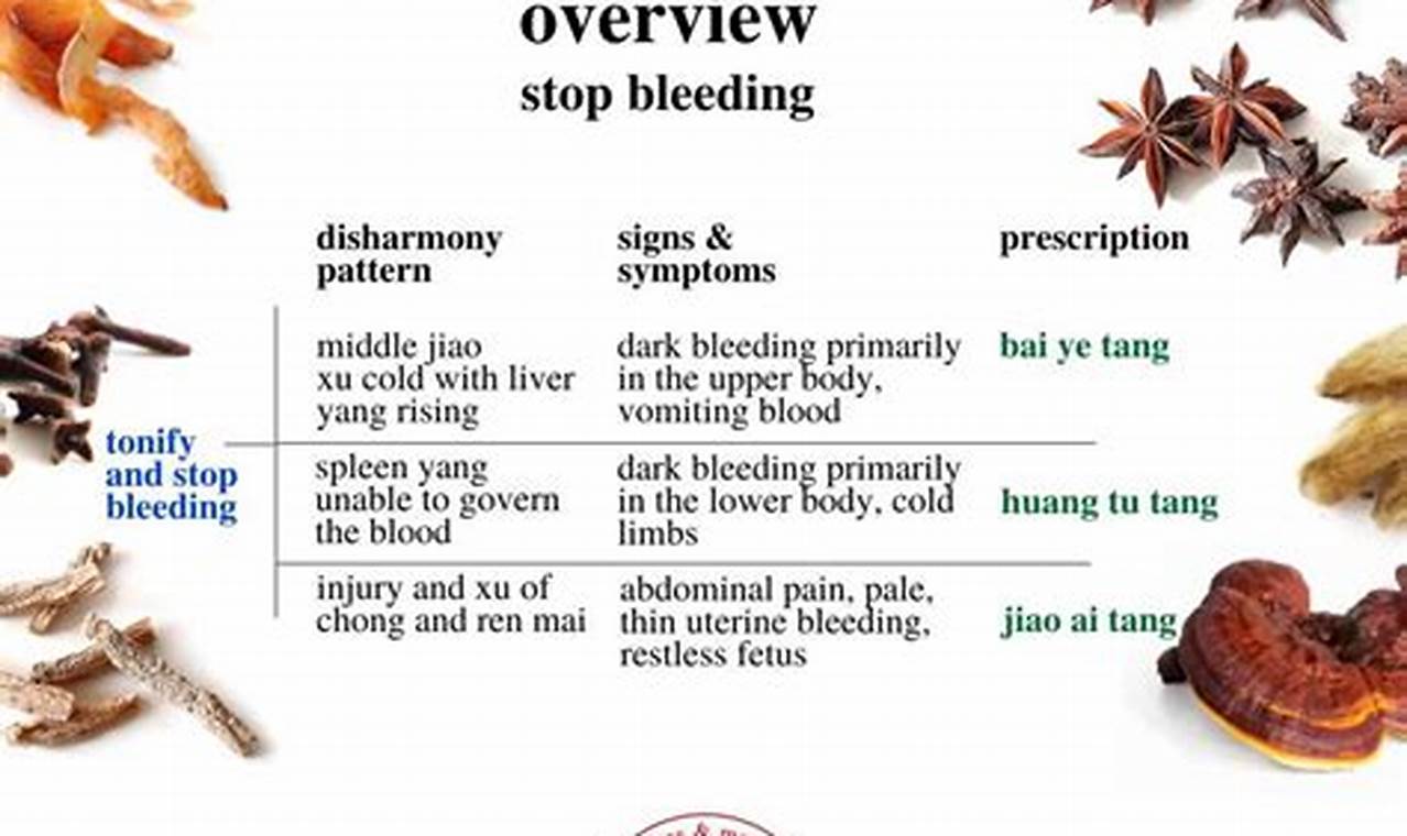 Natural Herbal Remedies to Stop Bleeding Fast The Ultimate Herbal Remedies Guide: Natural Healing for a Healthier Life Natural Herbal Remedies to Stop Bleeding Fast | The Ultimate Herbal Remedies Guide: Natural Healing for a Healthier Life