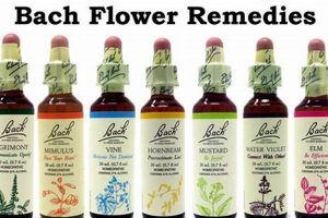 Natural Bach Herbal Remedies: Find Your Inner Peace The Ultimate Herbal Remedies Guide: Natural Healing for a Healthier Life Natural Bach Herbal Remedies: Find Your Inner Peace | The Ultimate Herbal Remedies Guide: Natural Healing for a Healthier Life