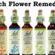 Natural Bach Herbal Remedies: Find Your Inner Peace | The Ultimate Herbal Remedies Guide: Natural Healing for a Healthier Life