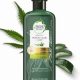 Best Herbal Essences Aloe Hemp Shampoo for Hydrated Hair! | The Ultimate Herbal Remedies Guide: Natural Healing for a Healthier Life