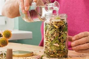 DIY: How to Make Herbal Tincture + Uses & Tips | The Ultimate Herbal Remedies Guide: Natural Healing for a Healthier Life