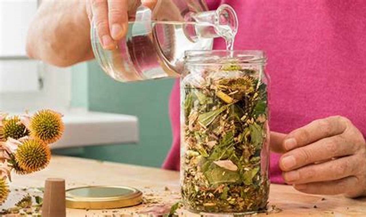 DIY: How to Make Herbal Tincture + Uses & Tips | The Ultimate Herbal Remedies Guide: Natural Healing for a Healthier Life