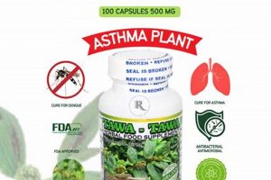 Best Herbal Medicine for Dengue: Relief & Treatment | The Ultimate Herbal Remedies Guide: Natural Healing for a Healthier Life