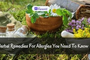 Natural Herbal Remedies for Pet Allergies Relief Guide | The Ultimate Herbal Remedies Guide: Natural Healing for a Healthier Life