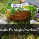 Natural Herbal Remedies for Pet Allergies Relief Guide | The Ultimate Herbal Remedies Guide: Natural Healing for a Healthier Life