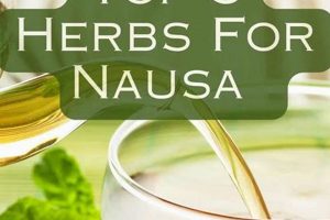 Fast Herbal Nausea Relief: Natural & Easy | The Ultimate Herbal Remedies Guide: Natural Healing for a Healthier Life
