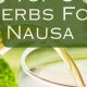 Fast Herbal Nausea Relief: Natural & Easy | The Ultimate Herbal Remedies Guide: Natural Healing for a Healthier Life