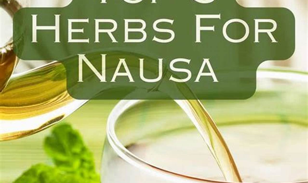 Fast Herbal Nausea Relief: Natural & Easy | The Ultimate Herbal Remedies Guide: Natural Healing for a Healthier Life