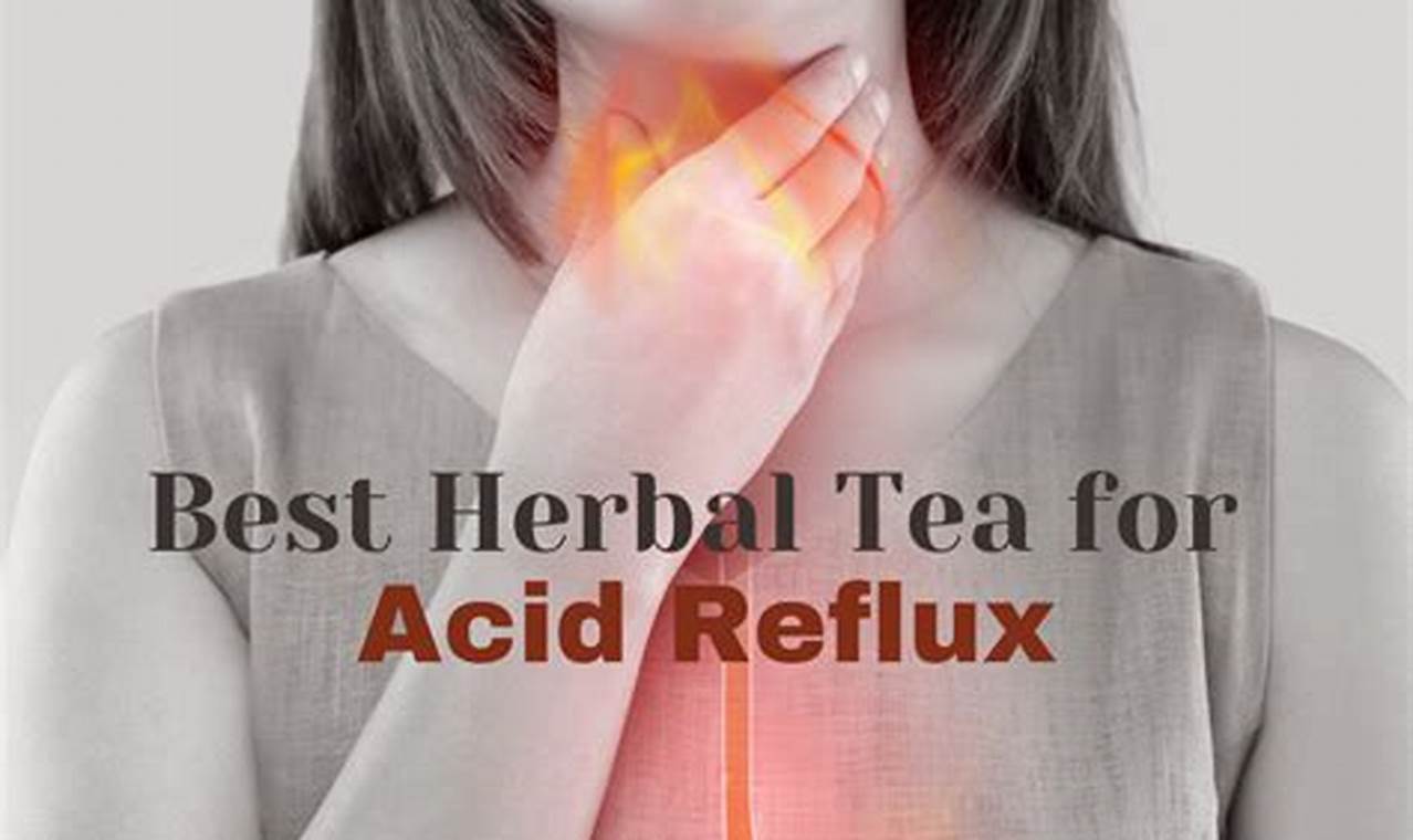 Top: Best Herbal Tea for Reflux (Tips & Brands) The Ultimate Herbal Remedies Guide: Natural Healing for a Healthier Life Top: Best Herbal Tea for Reflux (Tips & Brands) | The Ultimate Herbal Remedies Guide: Natural Healing for a Healthier Life