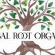 Best Herbal Root Organics: Nature's Secrets | The Ultimate Herbal Remedies Guide: Natural Healing for a Healthier Life