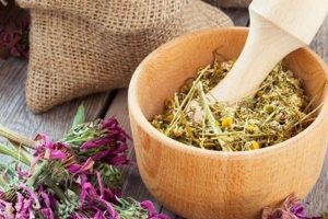 Natural Adrenal Gland Herbal Remedies: Boost & Balance The Ultimate Herbal Remedies Guide: Natural Healing for a Healthier Life Natural Adrenal Gland Herbal Remedies: Boost & Balance | The Ultimate Herbal Remedies Guide: Natural Healing for a Healthier Life