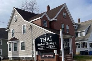 Local Thai Herbal Therapy Quincy: Find Relief Now! The Ultimate Herbal Remedies Guide: Natural Healing for a Healthier Life Local Thai Herbal Therapy Quincy: Find Relief Now! | The Ultimate Herbal Remedies Guide: Natural Healing for a Healthier Life